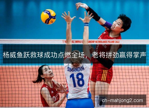 杨威鱼跃救球成功点燃全场,老将拼劲赢得掌声 杨威鱼跃救球成功点燃全场,老将拼劲赢得掌声